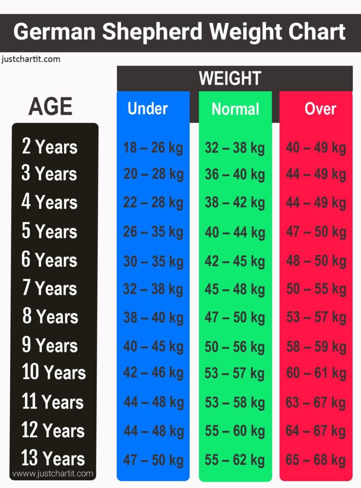 German Shepherd Weight Chart Guide