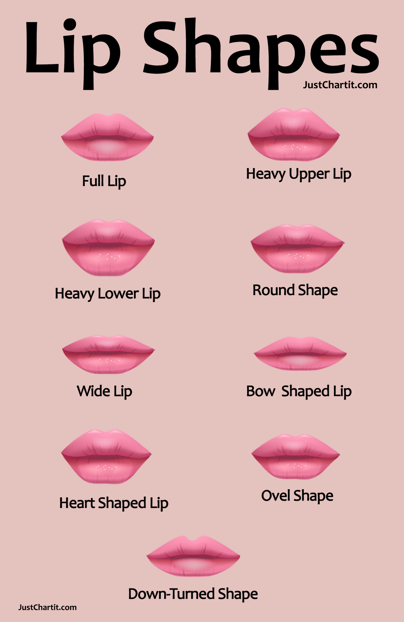 Lips Shape Chart