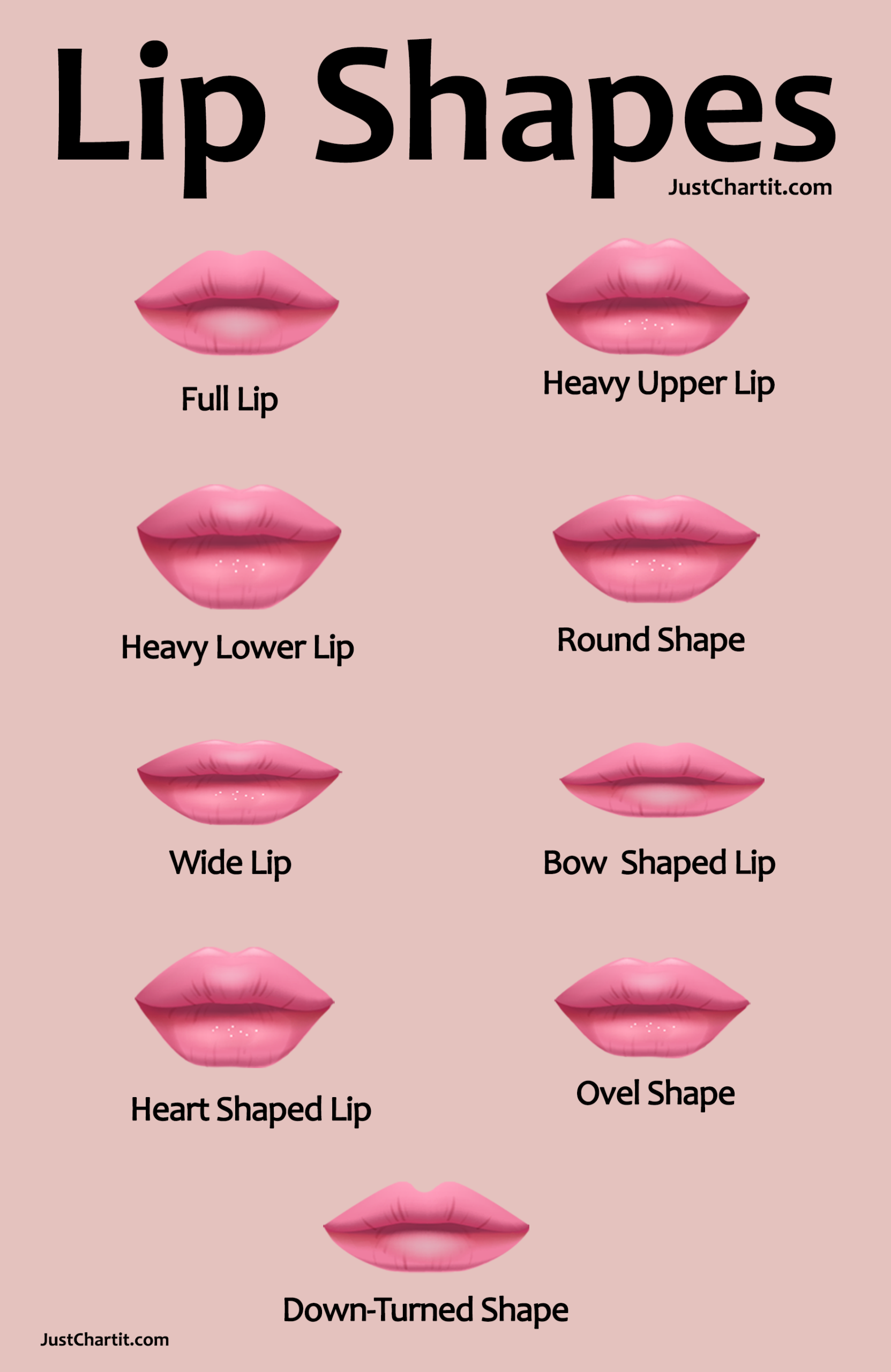 Lip Shape Chart
