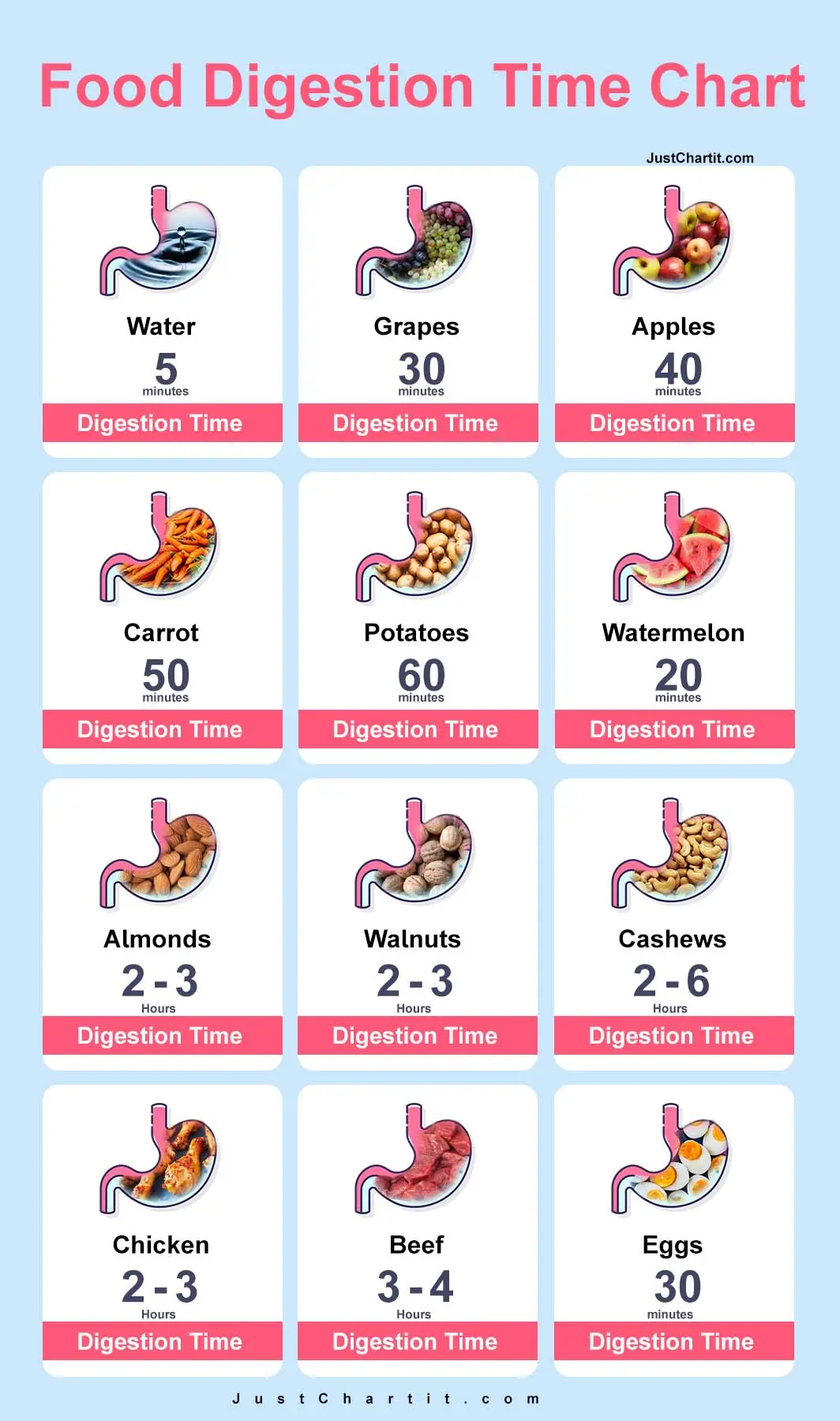 Food Digestion Time Chart