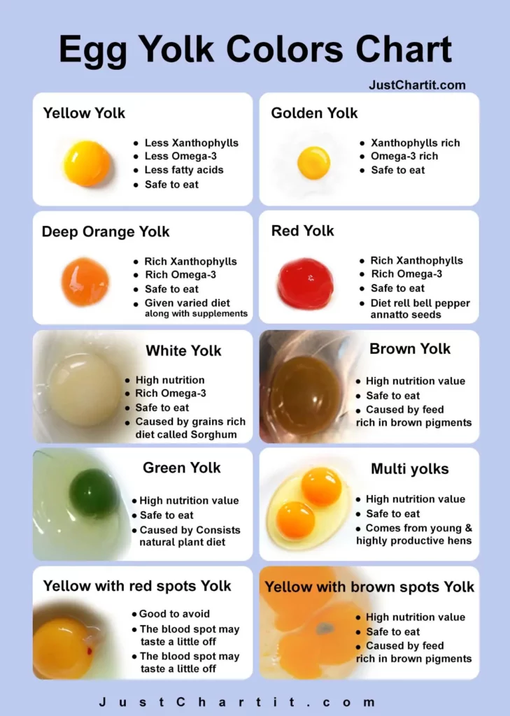 Egg Yolk Color Chart What Color Safe To Eat ??? | vlr.eng.br