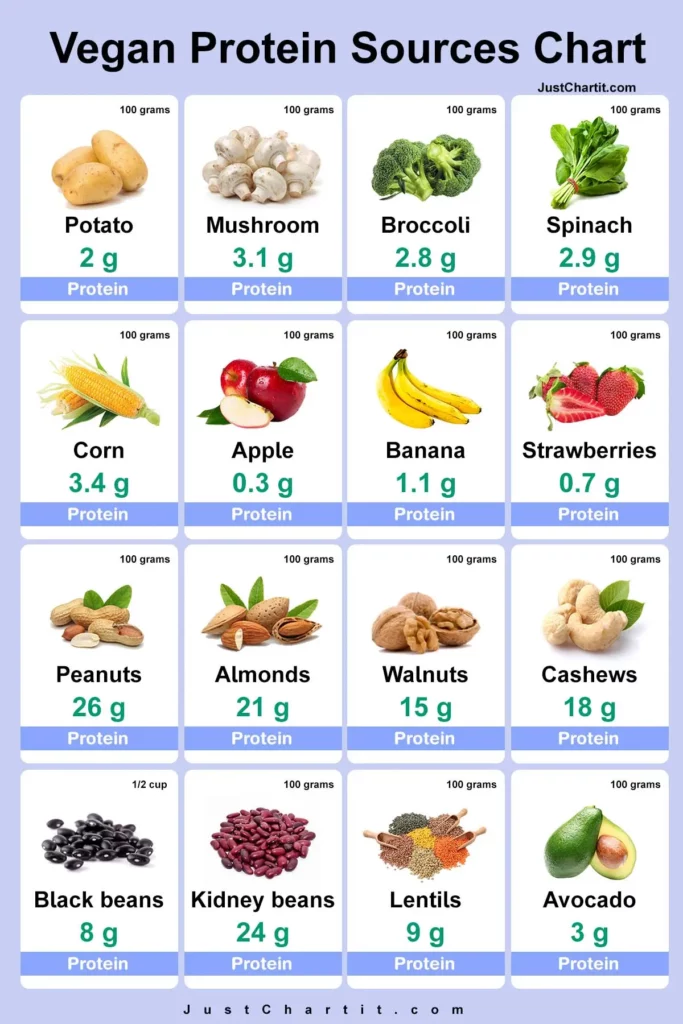 Vegan Protein Sources Chart - Protein per 100 g
