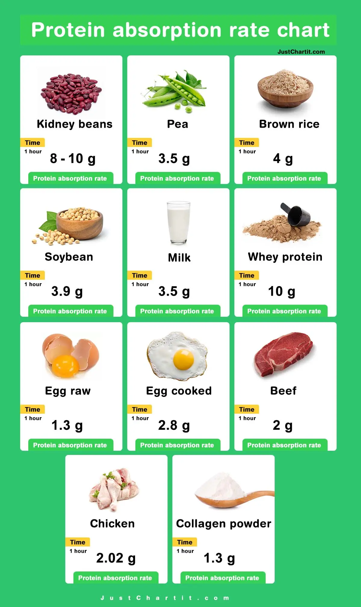 Protein absorption rate chart
