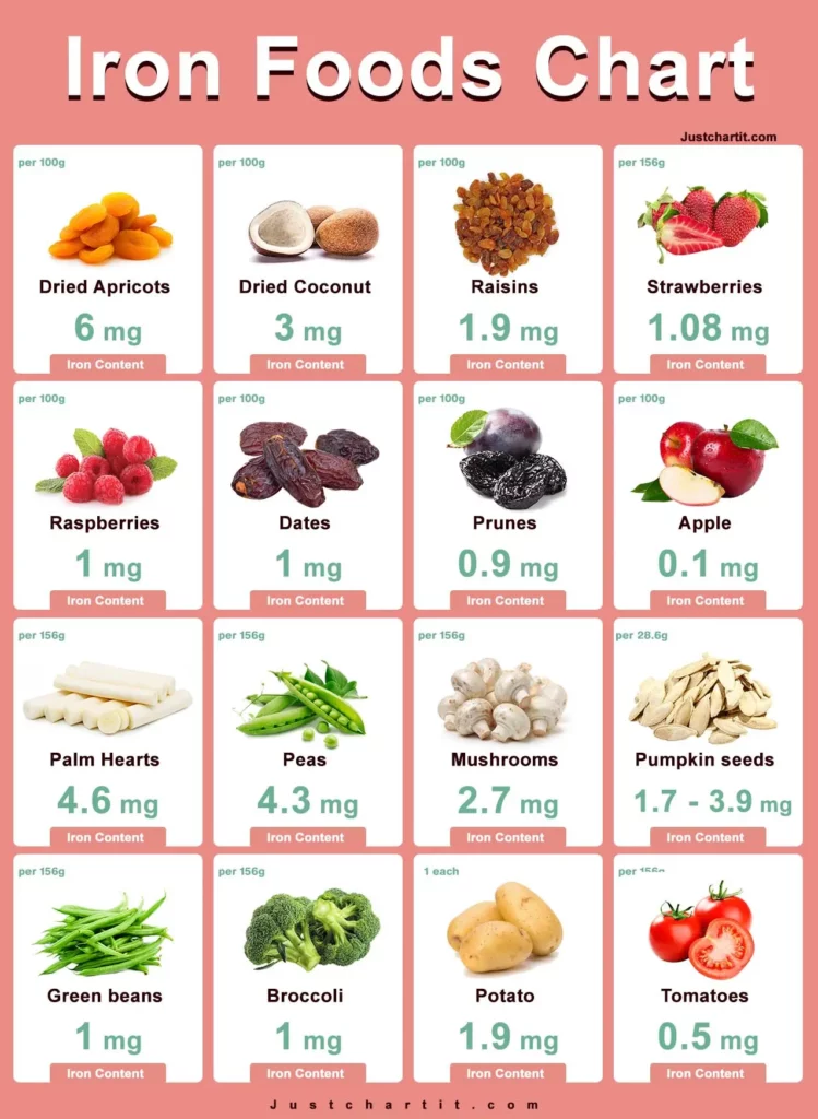 iron in foods chart per 100 grams