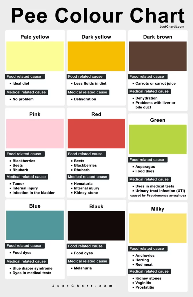 nhs pee or urine color chart and meaning